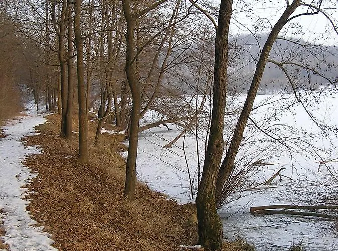 Vendeghaz * Kovacsszenaja